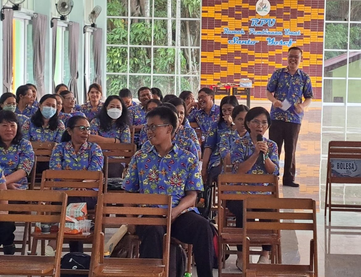 a-cover safari Belinyu